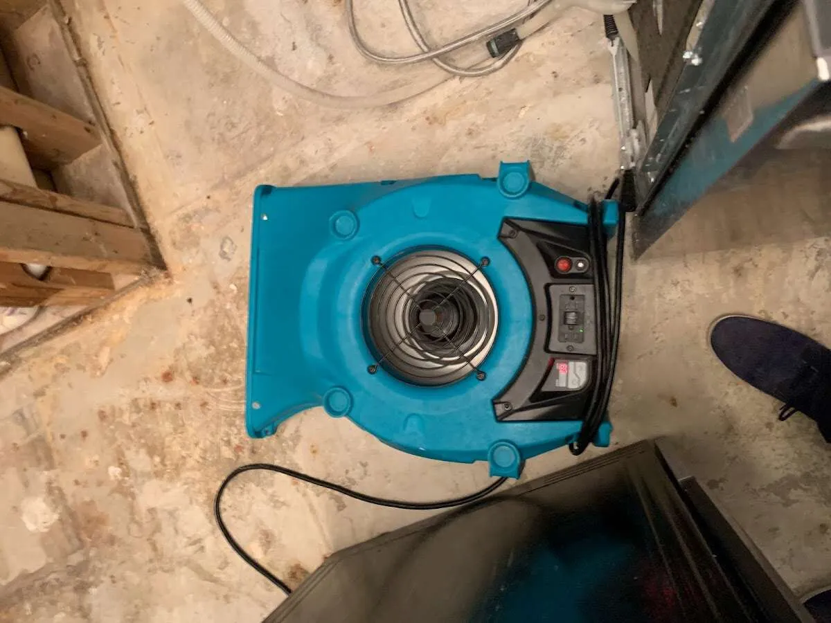 Air mover drying equipment for Mold Remediation & Removal in South Hill